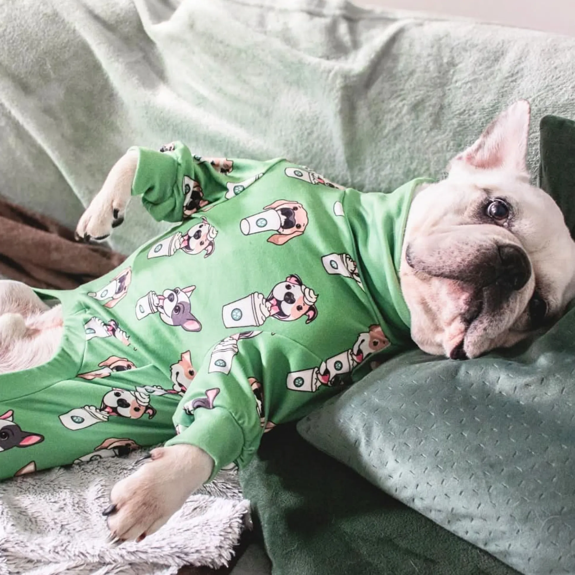 Dog Pajama - Pup Cup