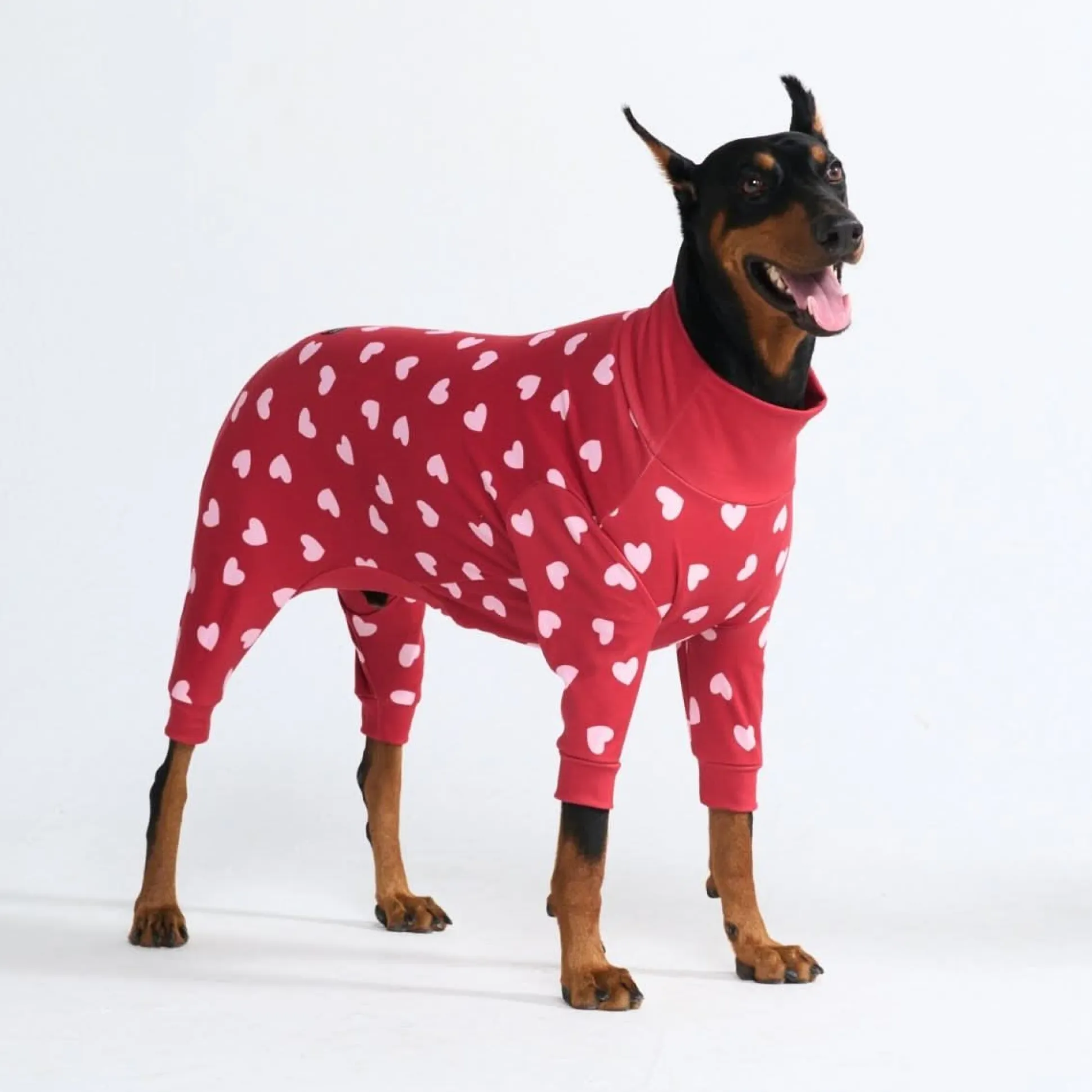 Dog Pajama - Red Hearts