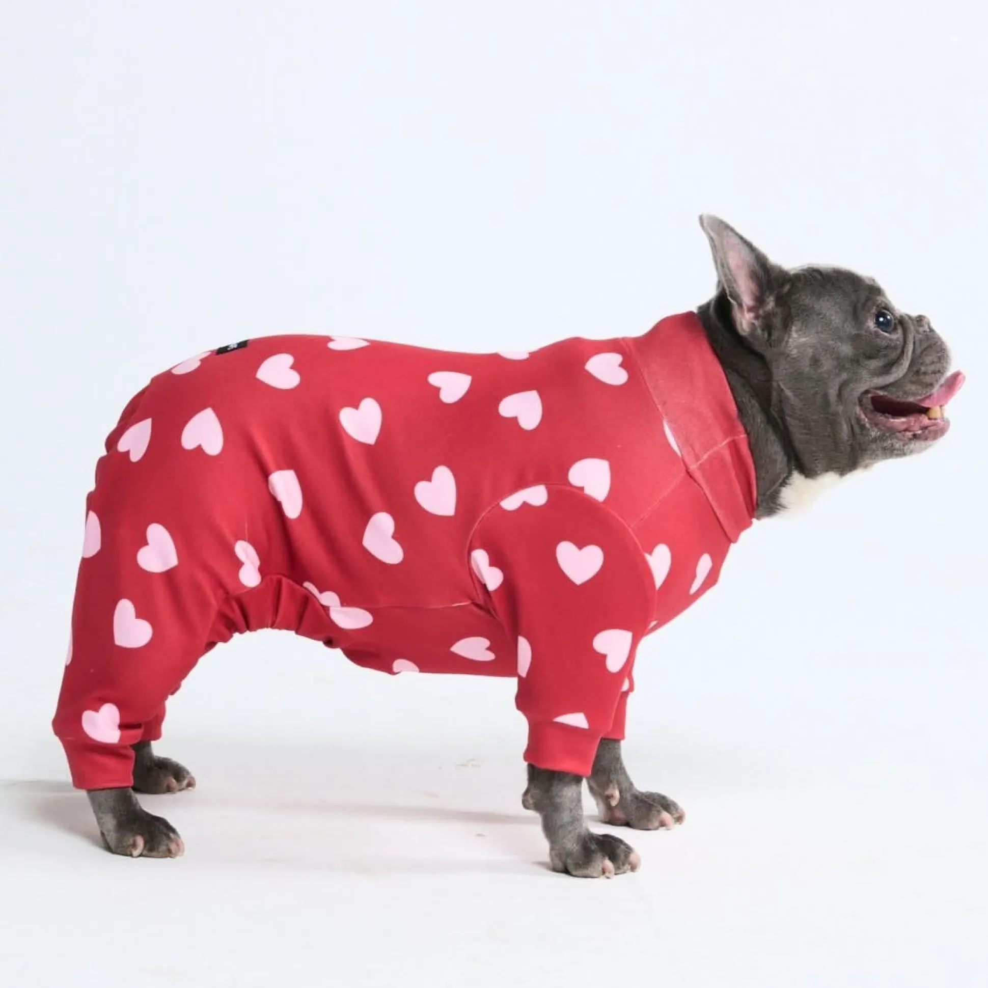 Dog Pajama - Red Hearts