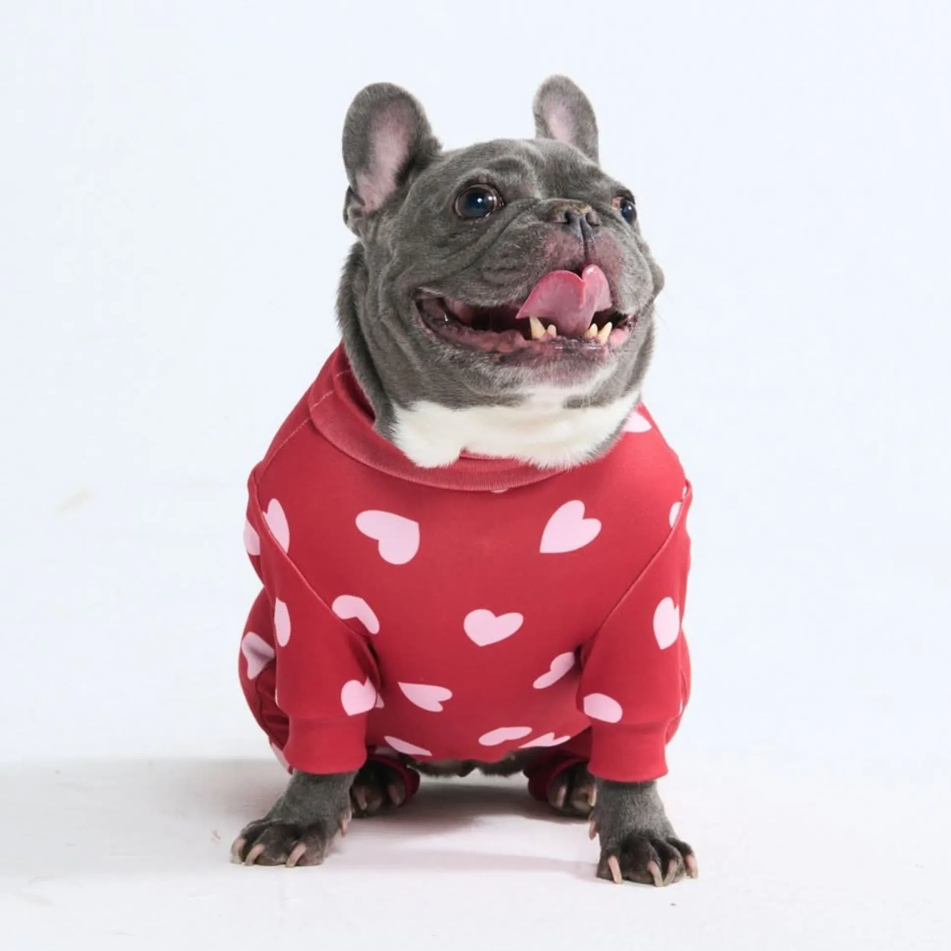 Dog Pajama - Red Hearts
