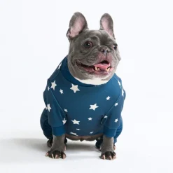 Dog Pajama - Stars