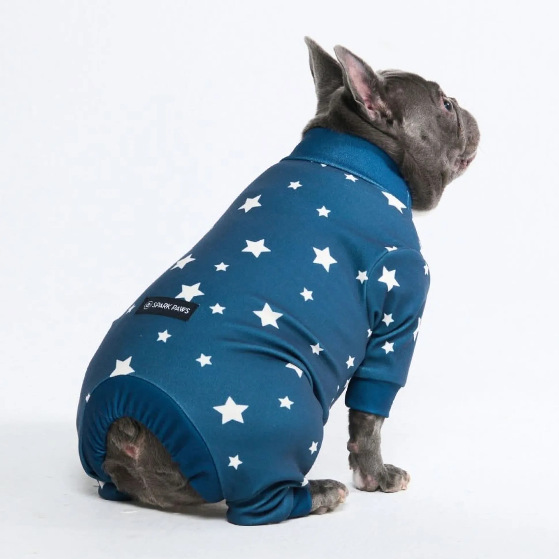 Dog Pajama - Stars