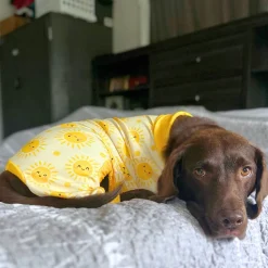 Dog Pajama - Sunshine