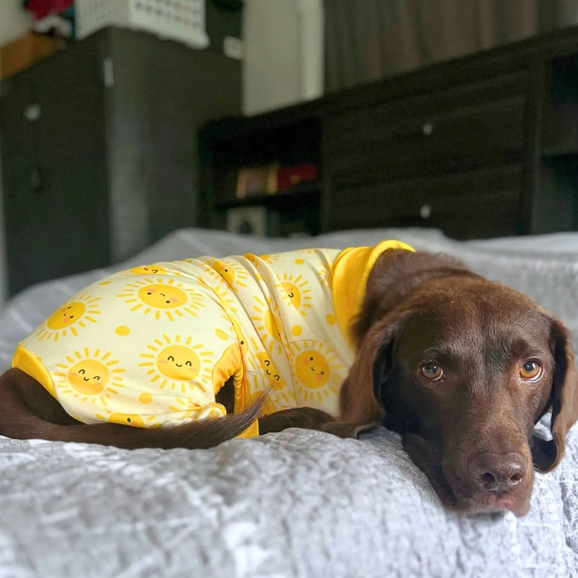 Dog Pajama - Sunshine