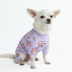 Dog Pajama - When Pigs Fly