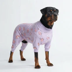 Dog Pajama - When Pigs Fly