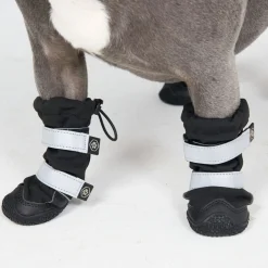 Dog Rainboots, Waterproof Dog Shoes - Black