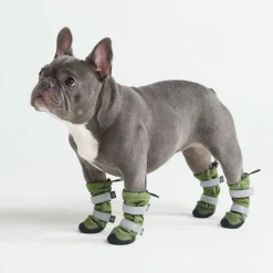 Dog Rainboots, Waterproof Dog Shoes - Green
