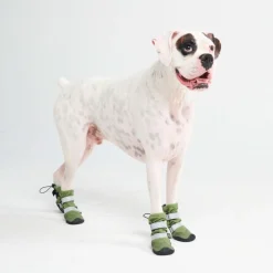 Dog Rainboots, Waterproof Dog Shoes - Green