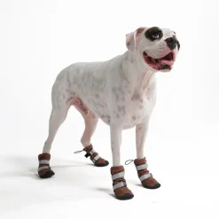 Dog Rainboots, Waterproof Dog Shoes - Brown