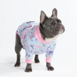 Dog Surgical Suit - Butterfly