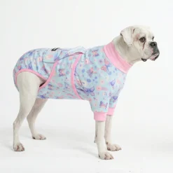 Dog Surgical Suit - Butterfly