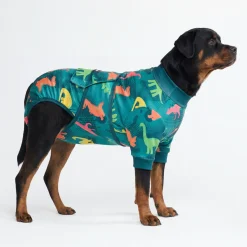Dog Surgical Suit - Dinosaurs