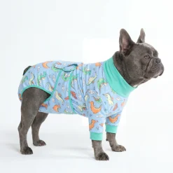 Dog Surgical Suit - Dragons
