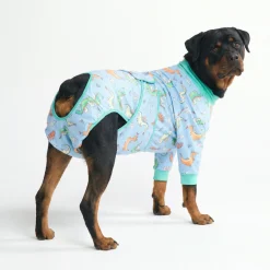 Dog Surgical Suit - Dragons