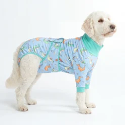 Dog Surgical Suit - Dragons