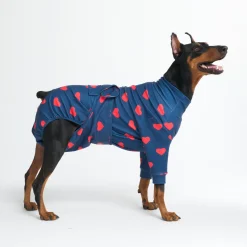 Dog Surgical Suit - Hearts