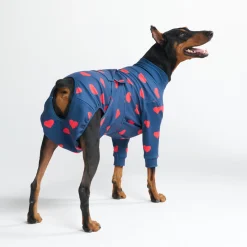 Dog Surgical Suit - Hearts