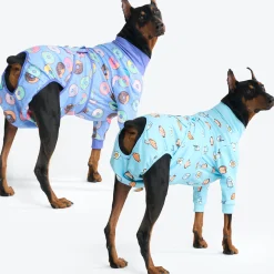 Dog Surgical Suit 2-pack