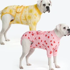 Dog Surgical Suit 2-pack