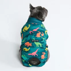Dog Surgical Suit 2-pack