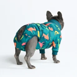 Dog Surgical Suit 2-pack