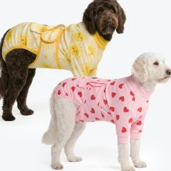 Dog Surgical Suit 2-pack