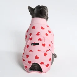 Dog Surgical Suit 2-pack