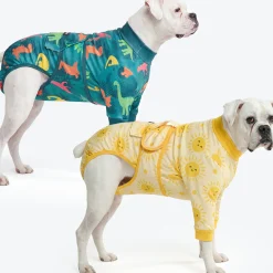 Dog Surgical Suit 2-pack