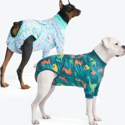 Dog Surgical Suit 2-pack
