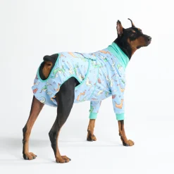 Dog Surgical Suit 2-pack