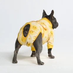 Dog Surgical Suit 2-pack