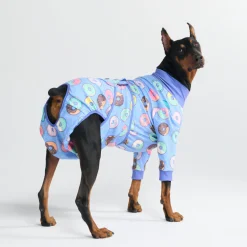 Dog Surgical Suit 2-pack