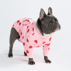Dog Surgical Suit - Pink Hearts