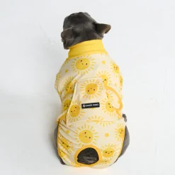 Dog Surgical Suit - Sunshine
