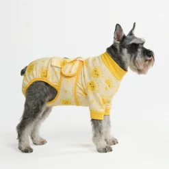 Dog Surgical Suit - Sunshine