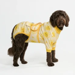 Dog Surgical Suit - Sunshine