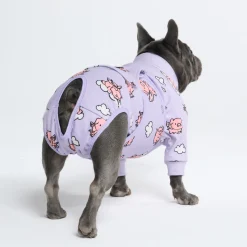 Dog Surgical Suit - When Pigs Fly