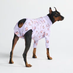 Dog Surgical Suit - When Pigs Fly