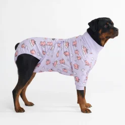 Dog Surgical Suit - When Pigs Fly