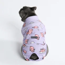 Dog Surgical Suit - When Pigs Fly