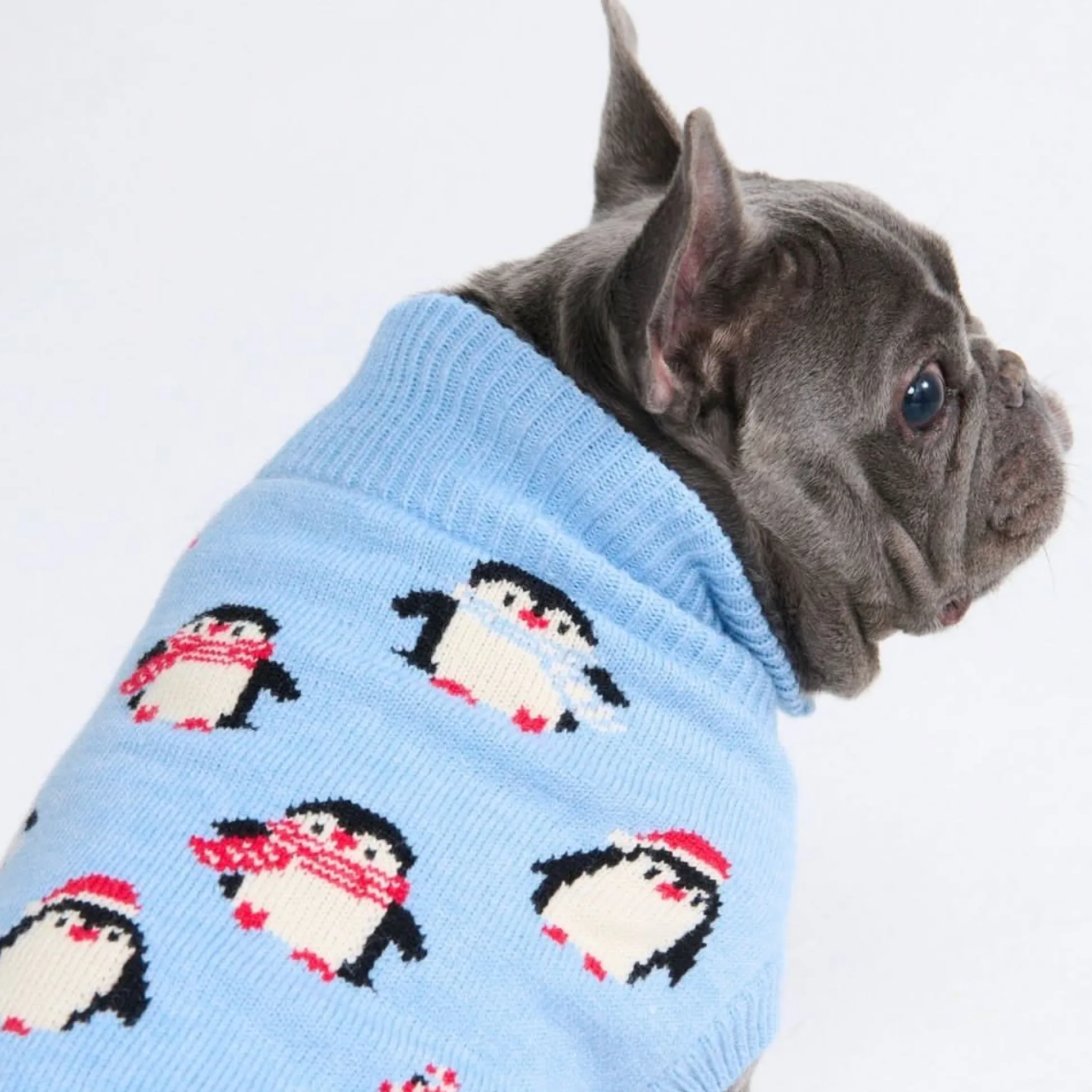 Dog Sweater - Penguins