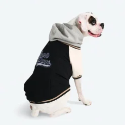 Dog Varsity Jacket - Black