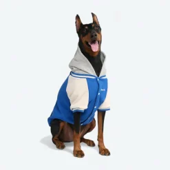 Dog Varsity Jacket - Blue