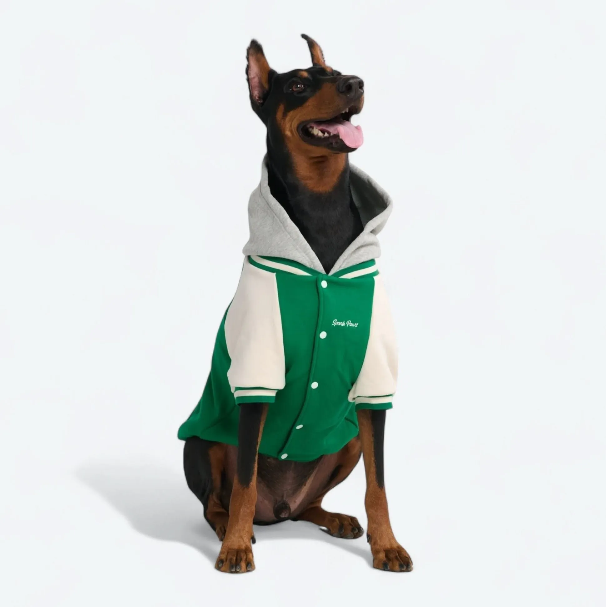 Dog Varsity Jacket - Green