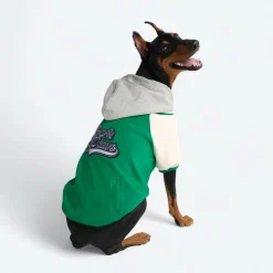 Dog Varsity Jacket - Green