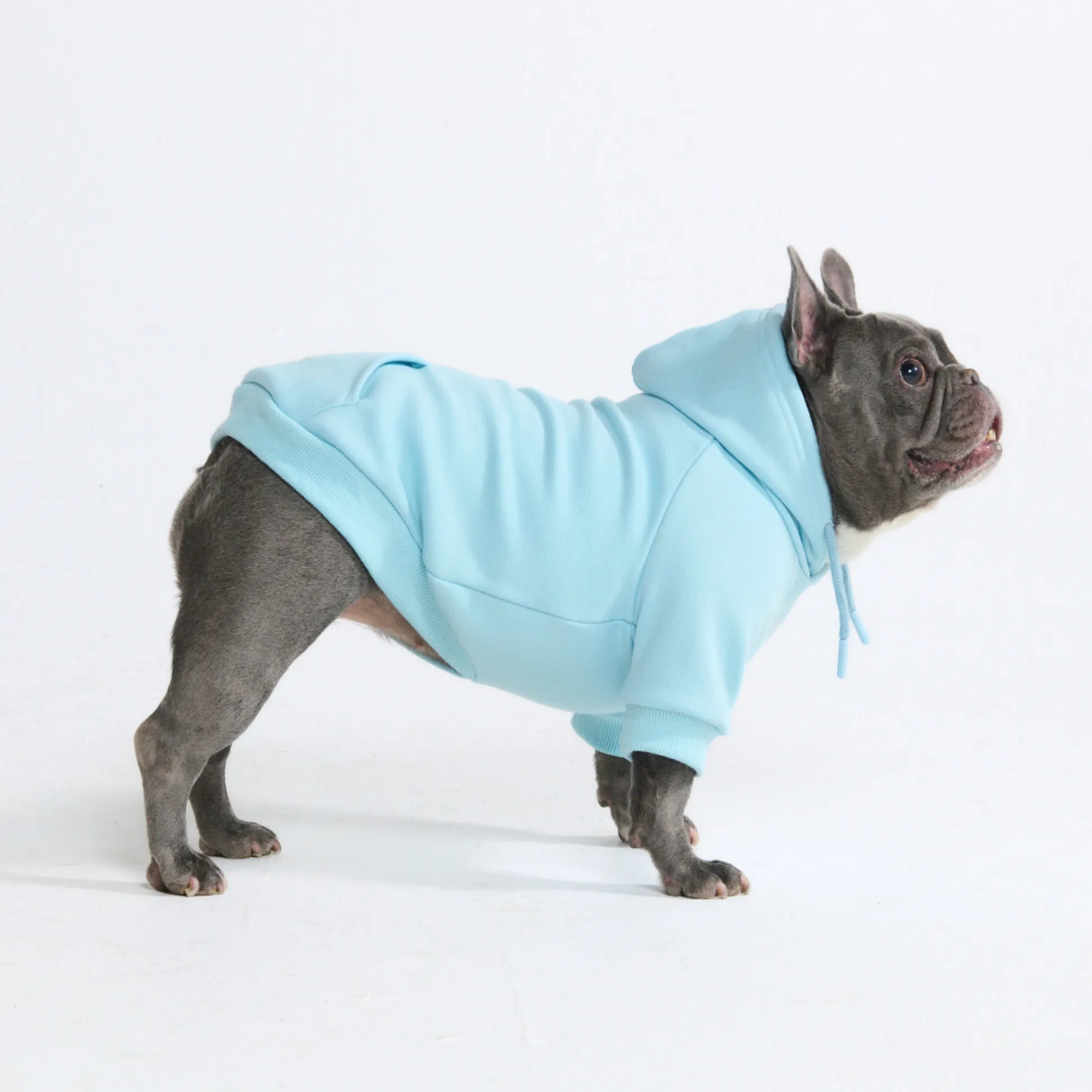 Essential Dog Hoodie - Baby Blue