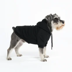 Essential Dog Hoodie - Black