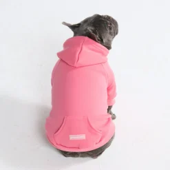 Essential Dog Hoodie - Blush Pink