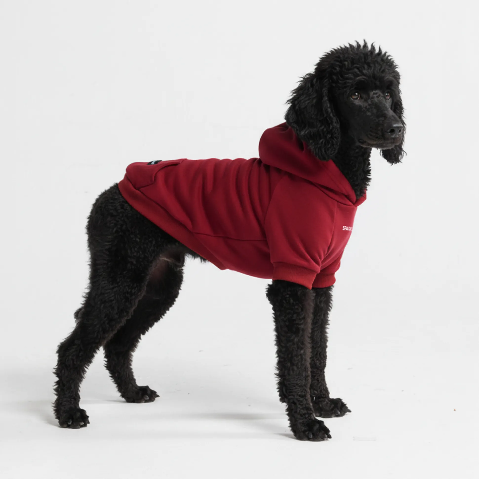 Essential Dog Hoodie - Burgundy